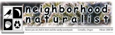 www.neighborhood-naturalist.com 