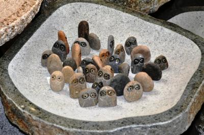BABY OWLS