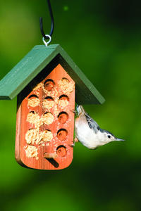 Bark Butter Feeder