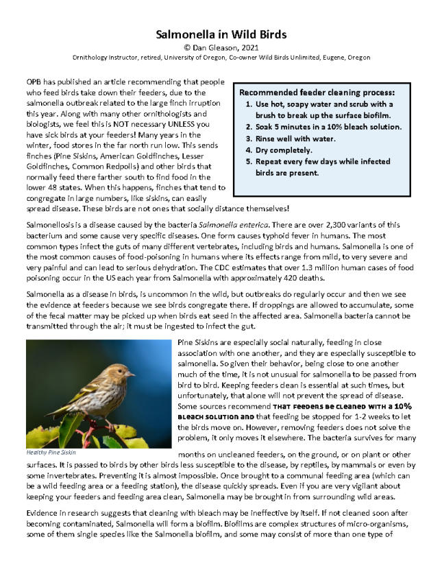 Be a Responsible Bird Feeder Page 1